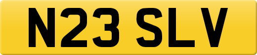 N23SLV